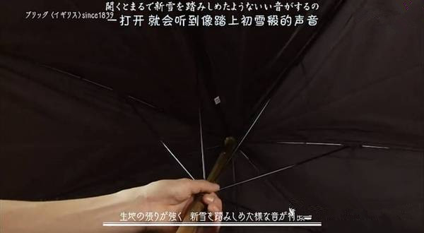 雨伞品牌排行榜前十名，雨伞界的爱马仕？