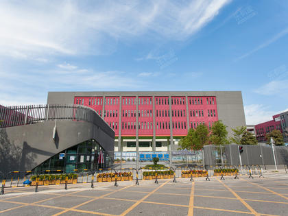 3000万学区房，哈佛师资，中考却全军覆没，素质教育能走多远