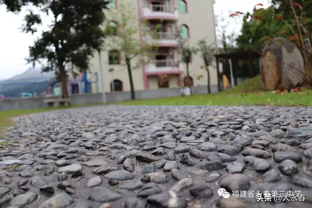 美哉！我们的永春三中