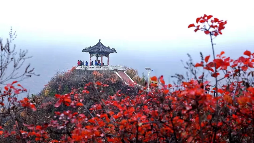 北京旅游点有哪些景点(中国旅游点有哪些景点)