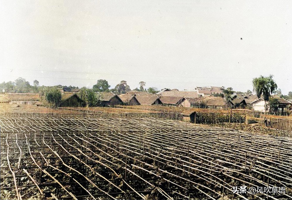 龙舟竞渡在什么时期就有了(1930年代的湖南湘潭，有热闹的龙舟比赛，也有肆虐的洪水侵袭)