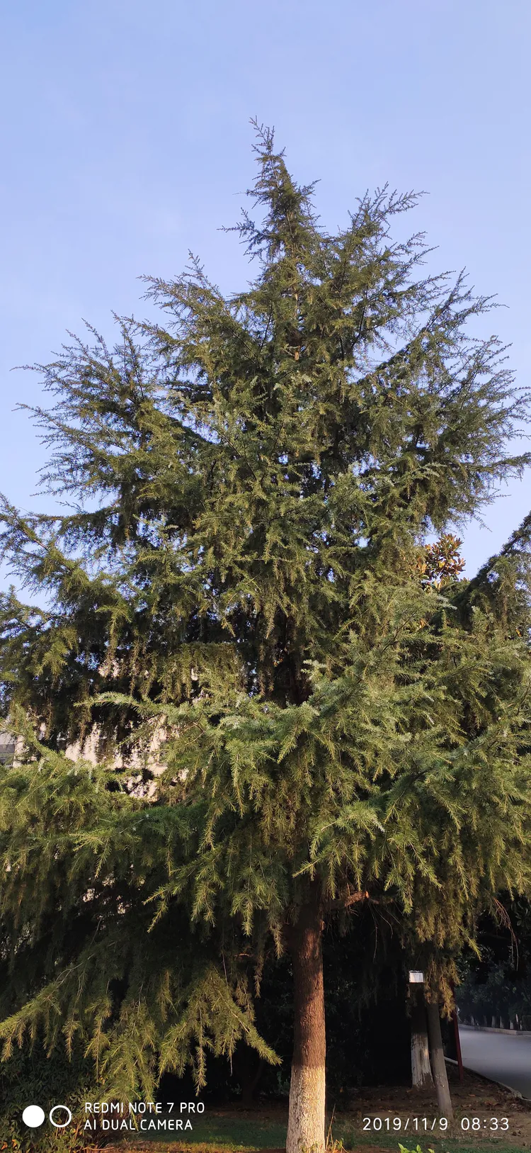 陪你一起看湖北省广水一中①——走进植物王国