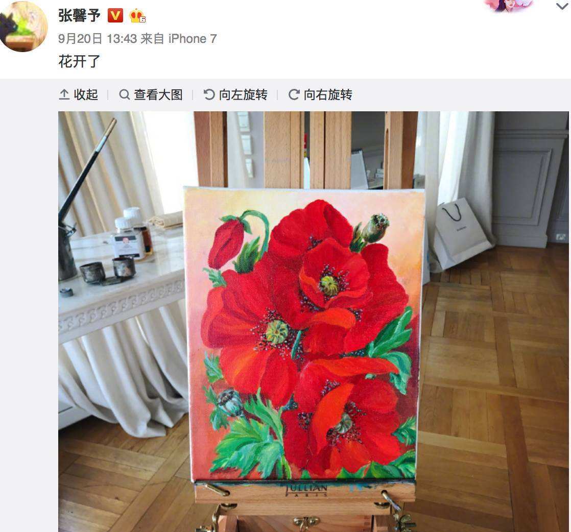 张馨予：一位被演艺耽误了的艺术家，她的国画比大师都专业