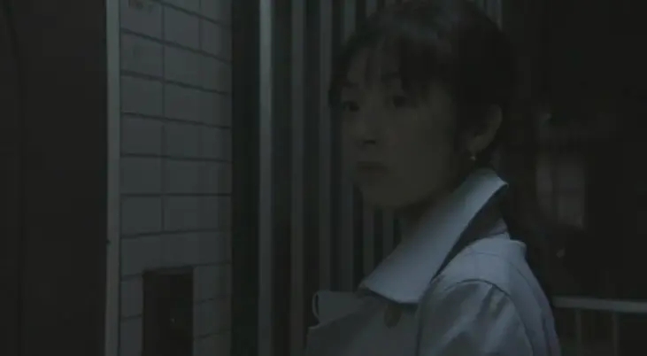 评分最高的十大日本恐怖片，《午夜凶铃》第6，《咒怨》未进前三