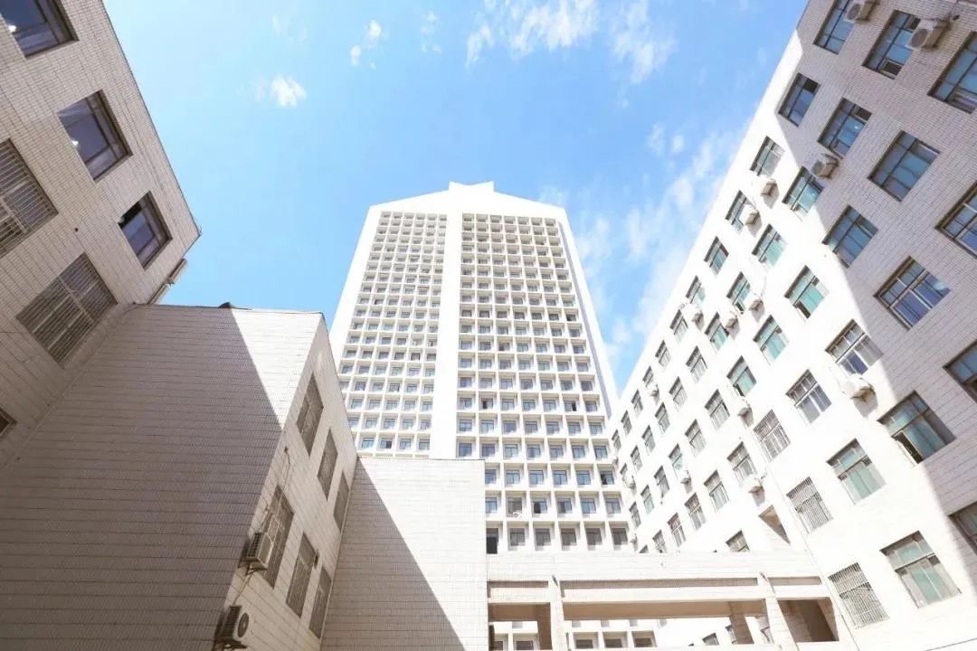 山东美术生必看，这些小技巧或许能让你录取好大学