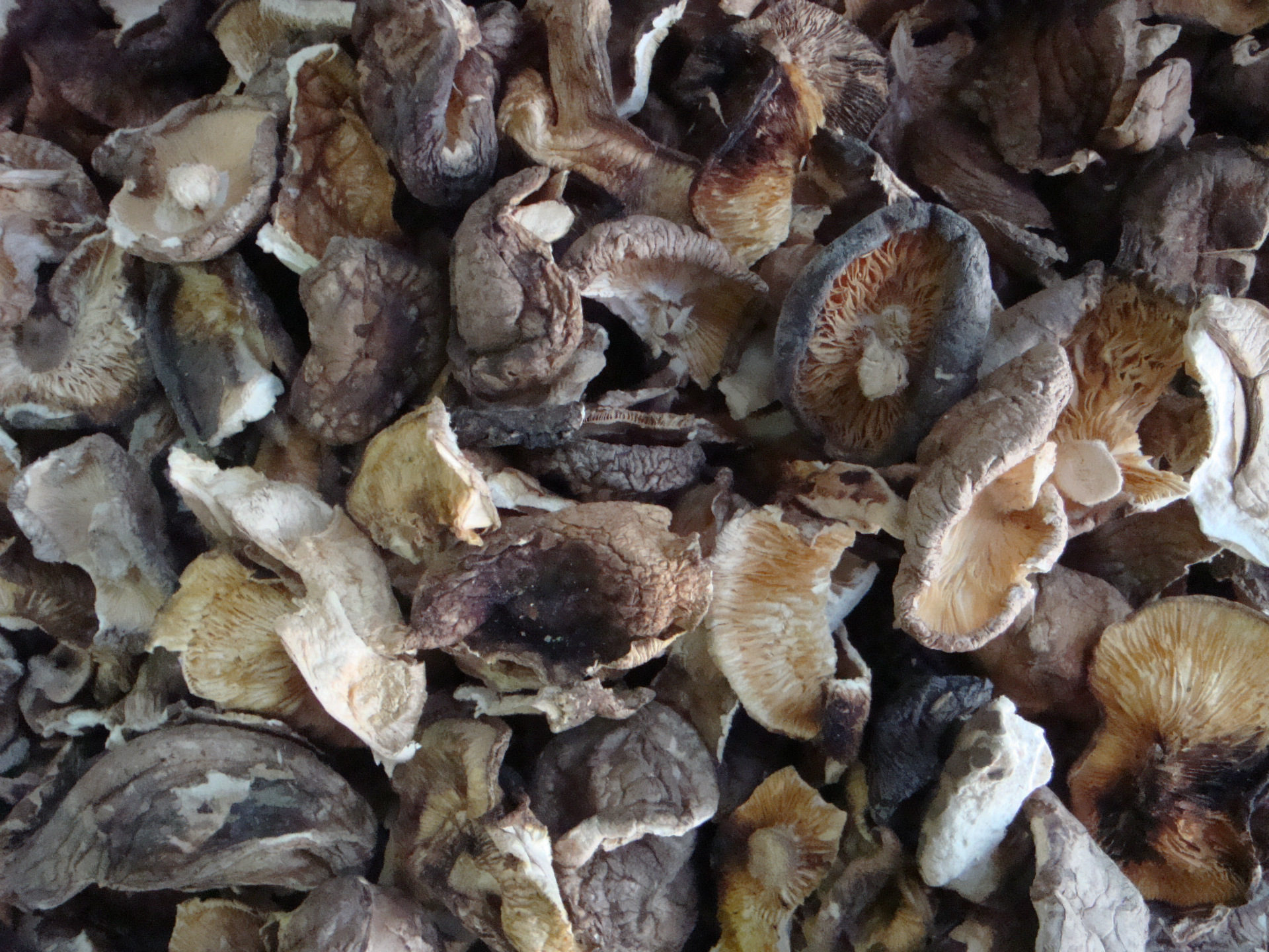 香覃:香覃是香菇中最低级品种.