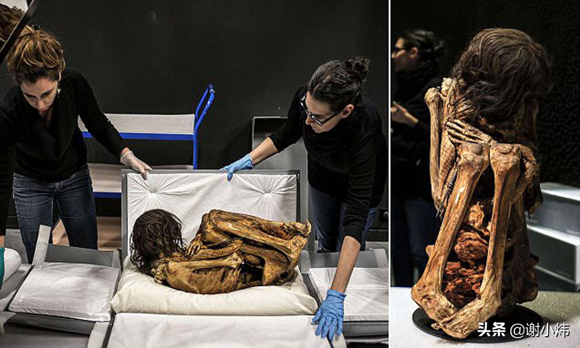 外星小灰人木乃伊尸体出现在秘鲁纳斯卡,巨大头颅三手指三脚趾