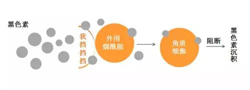 黑色痘印太烦恼？3步彻底去除印痕，恢复白嫩水光肌