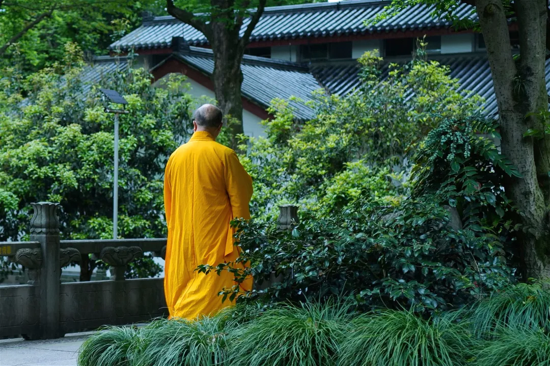 杭州终极拜佛攻略｜走这条路，一天解锁灵隐法喜7大宝藏寺庙