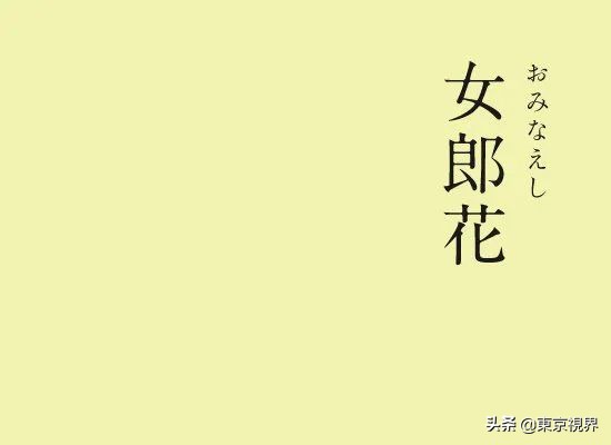 你看到的天空是什么颜色？用五感来感受古代日本人的造词功力