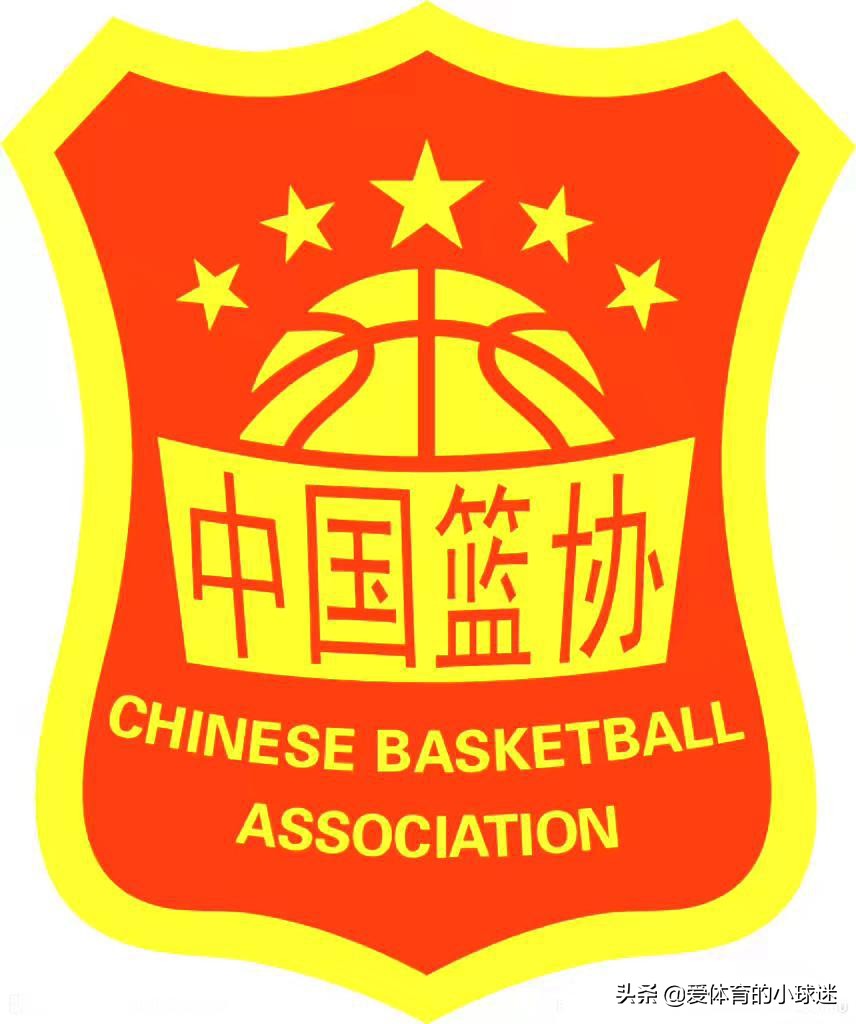 中国有哪些人进入nba名人堂(被NBA选中的11大中国球员，两人夺冠，一人入选篮球名人堂)