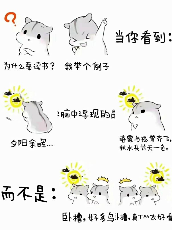 阅读是什么(阅读的意义是什么)