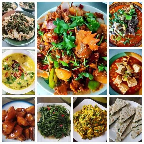 听说在这里可以吃到全国各地美食，展开说说