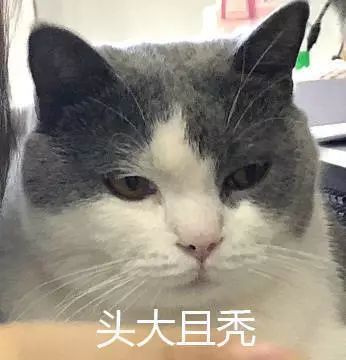 大学毕业论文救命指南，看完一键解决写不出论文大难题