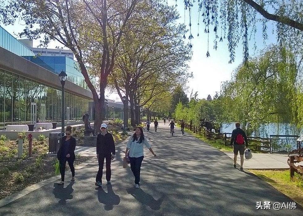 美国最适合步行的50个城市