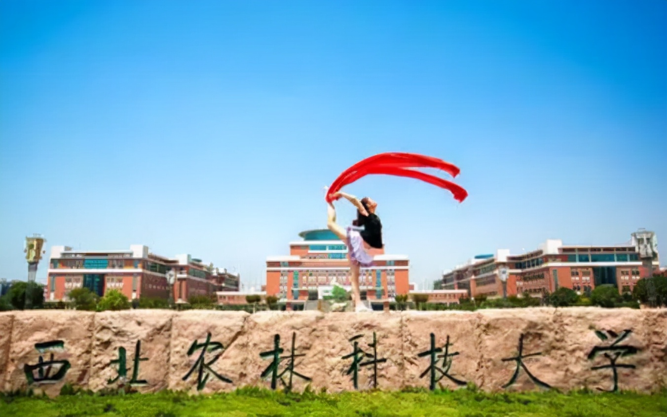 国内大学的另类绰号，得知本名后有被笑到，你能猜出来几个