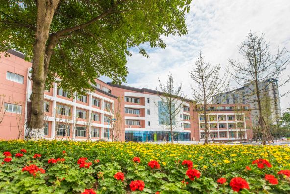 热门！2020年成都小升初最值得推荐的45所学校