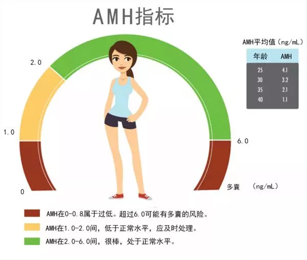 AMH检测值低就不孕吗？你必须知道的AMH与卵巢功能的真相