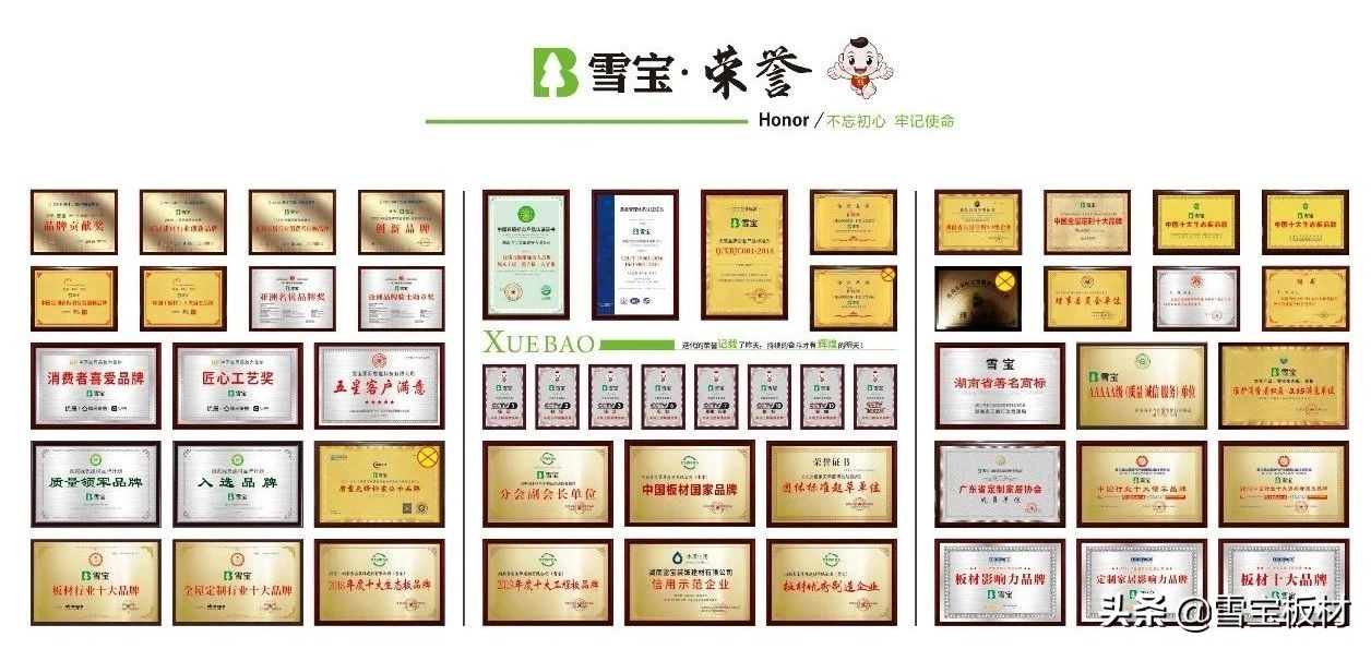 中国板材国家品牌！板材十大品牌荣耀加冕
