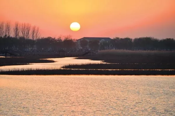 12首垂钓诗词：春光灿烂时，垂钓江渚上