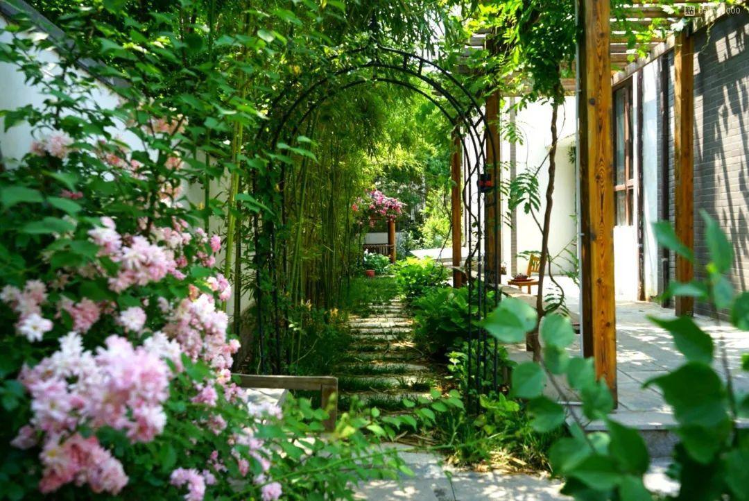 寻一方小院,建一处花园,养花喝茶一辈子