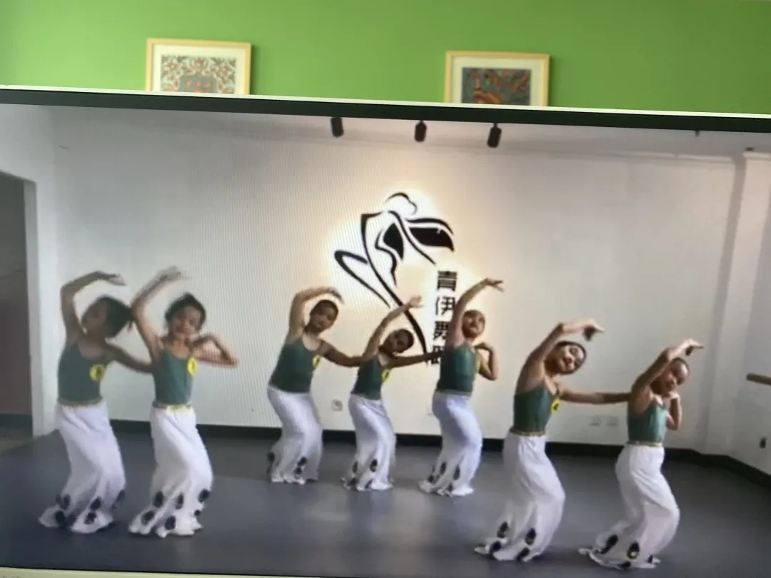 北京舞蹈学院六级考级舞蹈(石家庄)