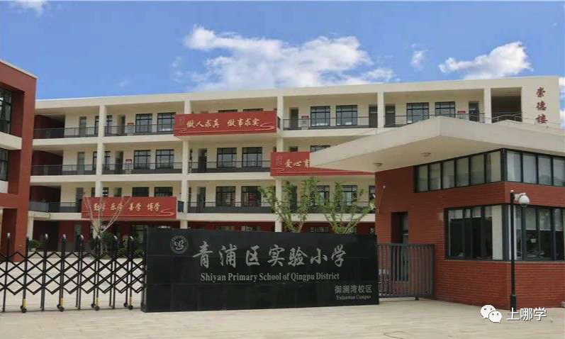 喜讯！上海8所中小学获得“国字号”荣誉