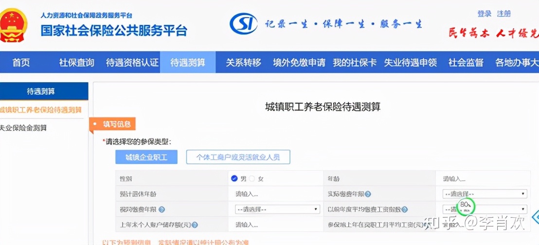 养老保险个人账户查询,养老保险个人账户查询官网