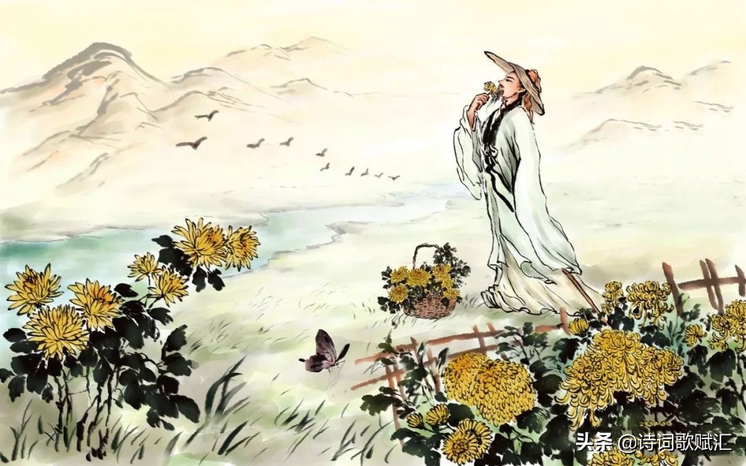 杨万里最经典的一首诗，短短28字，将初夏池中美景写得诗情画意
