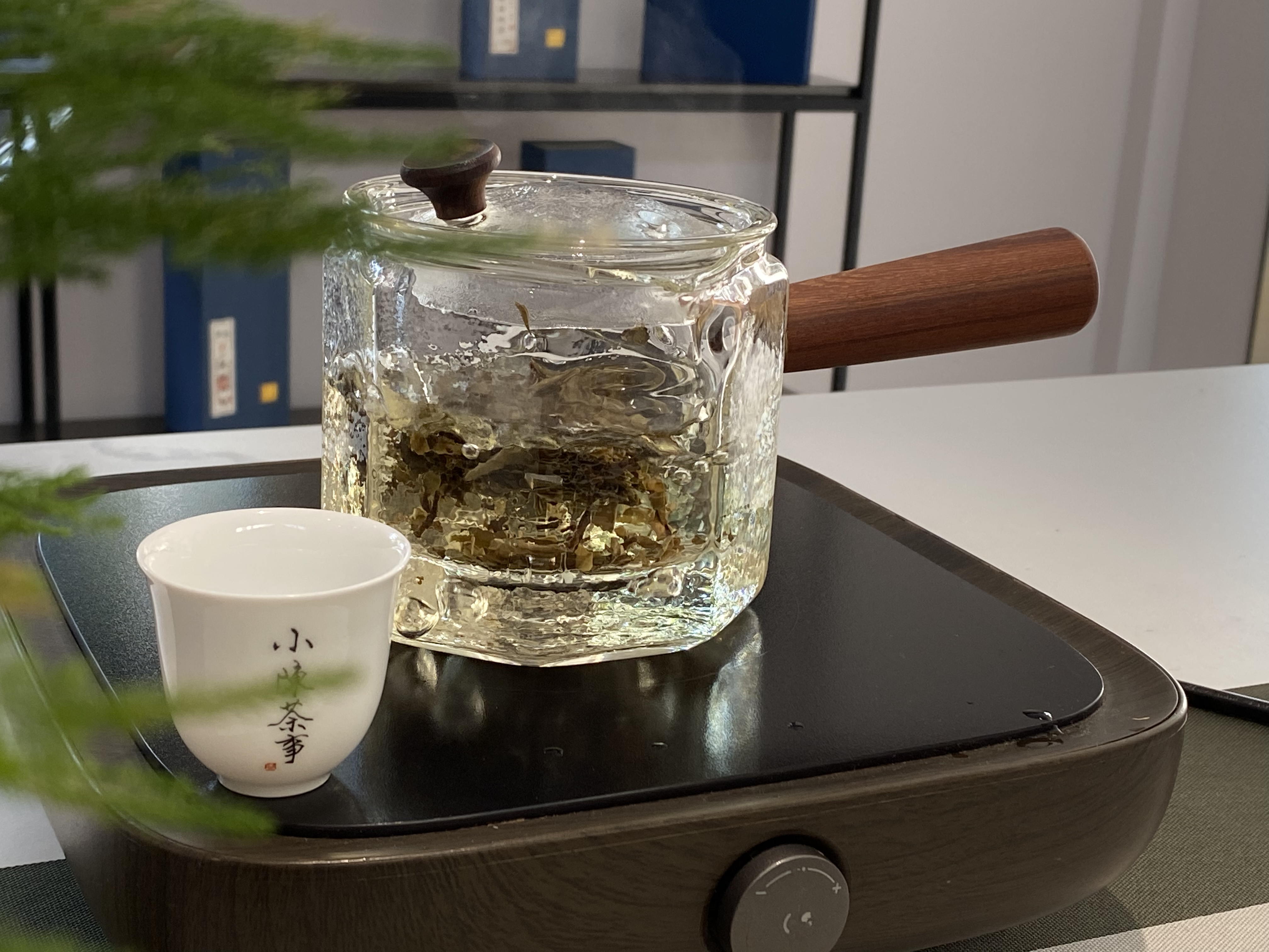 小雪天，带你看清煮茶与蒸茶的区别，来一杯好喝的老白茶暖身吧