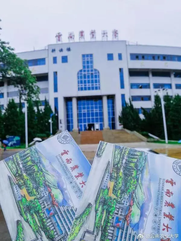 国家级一流！厉害了我的云南农大