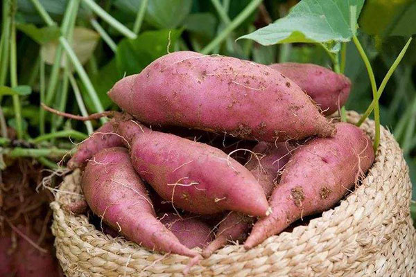 宿州特产有哪些？已知的50余种宿州特产与美食大全，补充有奖……