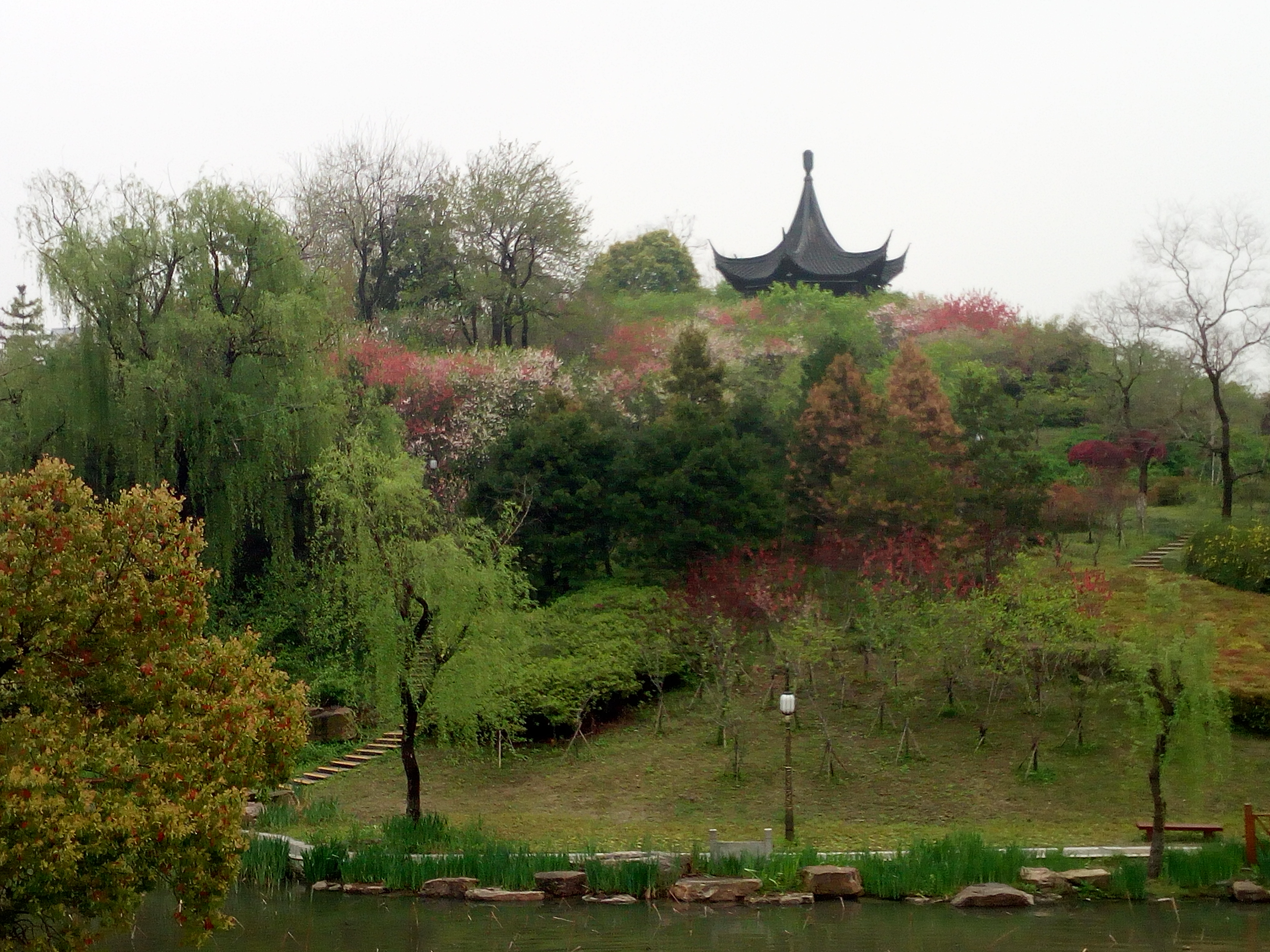 「花未眠61江蘇的花」—桃花塢裡桃花庵:泰州桃園