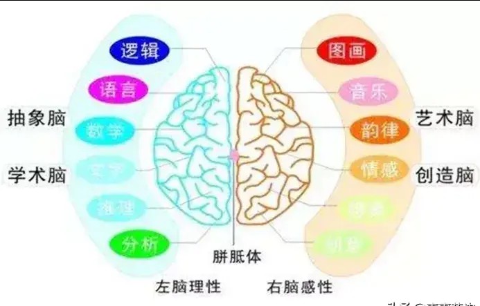 羽毛球可以用左手打吗(孩子左撇子要不要纠正？不当方式会带来伤害，左撇子的优势明显)