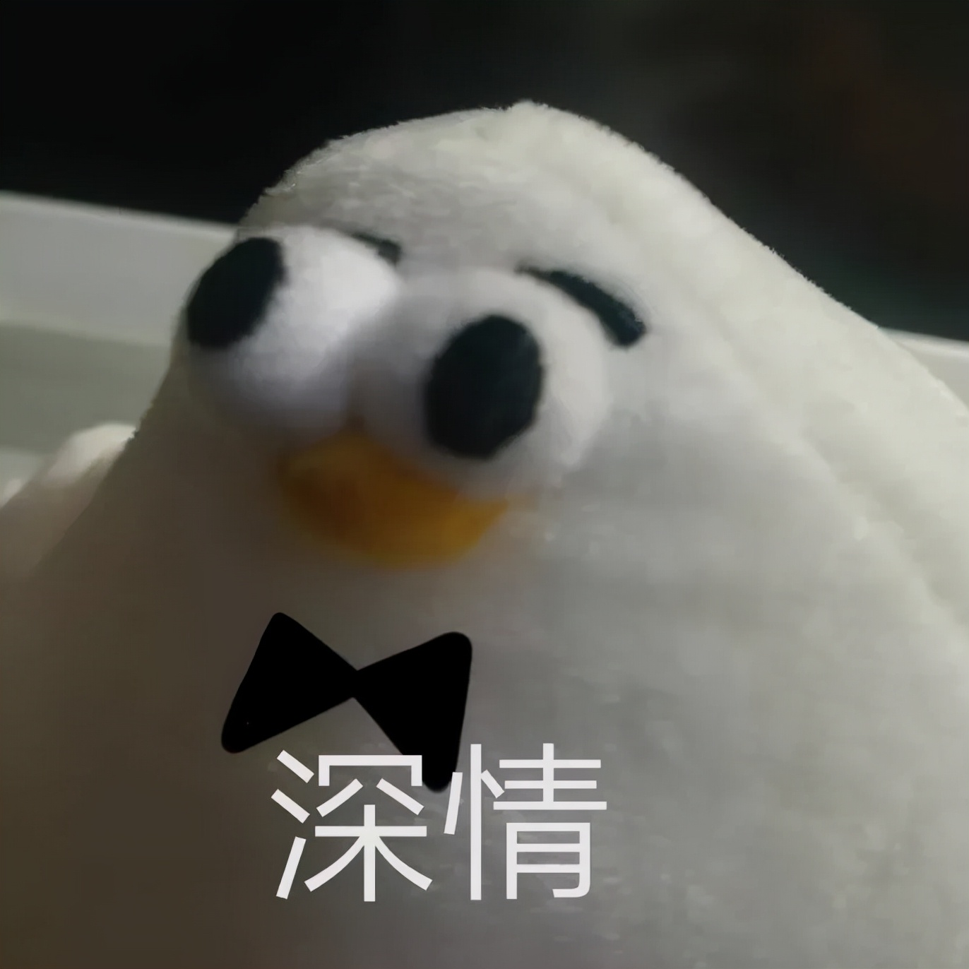 当不喜欢的人跟12星座表白，反应破防了