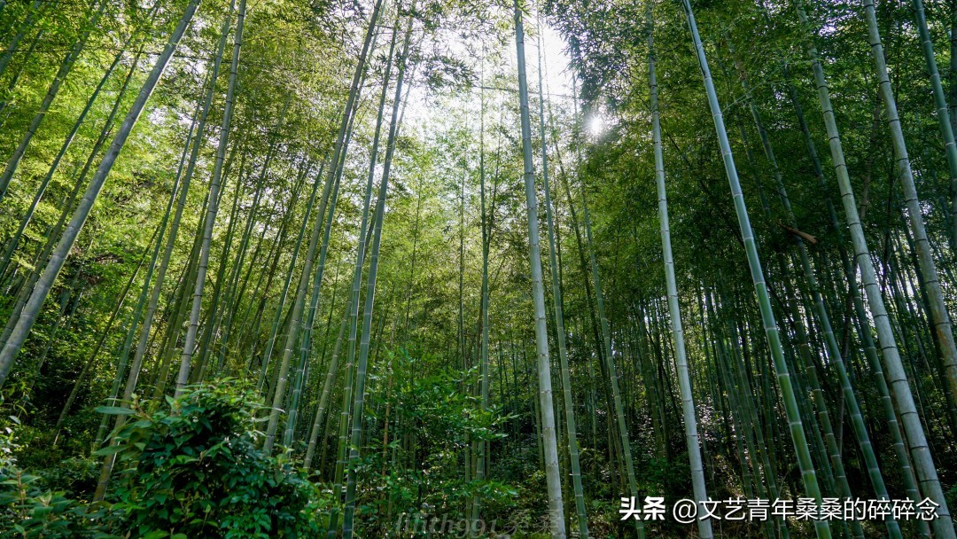 古村落、原始森林、火山岩，宝藏旅行地福建三明两日一夜打卡记