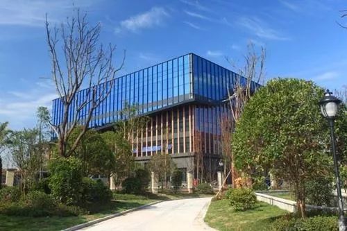 一年20万！在重庆上个小学也太贵了吧！不信来