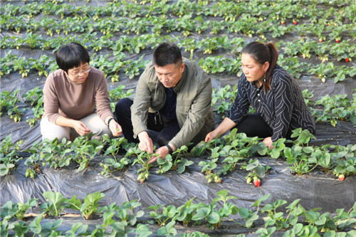 记全国劳动模范、唐山丰润区兴富种植农民专业合作社理事长梁晓东