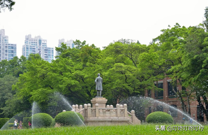 487分就能入985大学？中山大学招生遇“滑铁卢”，分数低出新高度