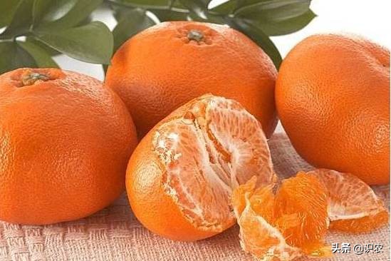 日本爱媛新品种，100元1个的柑橘！老农却选择种最便宜的，为什么