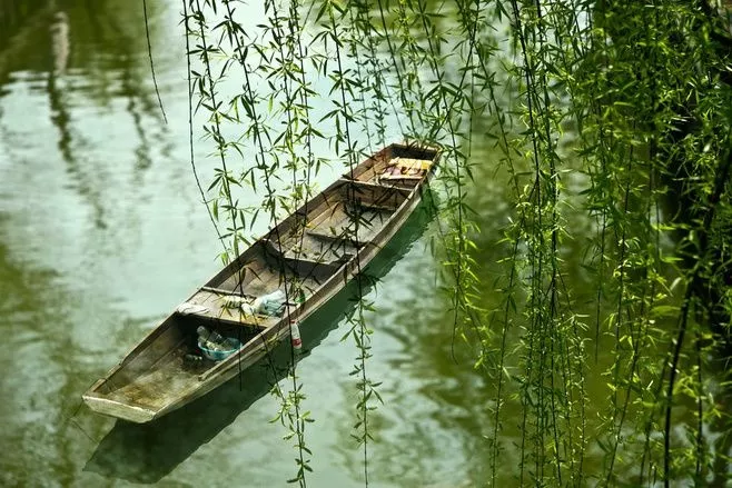 12首垂钓诗词：春光灿烂时，垂钓江渚上