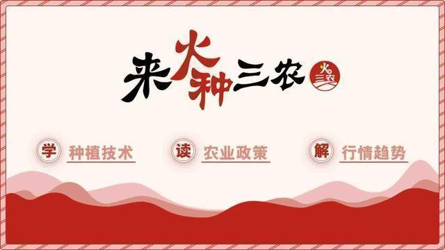 大面积降温，防寒“必备品”磷酸二氢钾，如何才能买到正品？