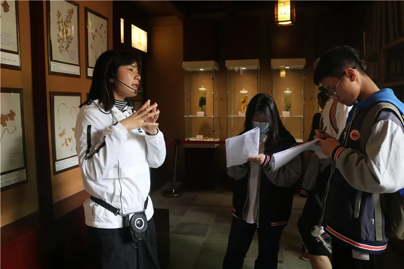 英迪初中“太极之乡”陈家沟研学活动成果硕然