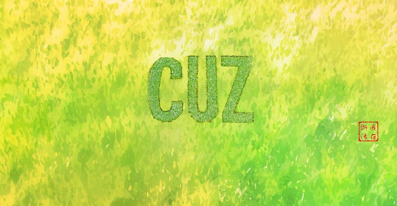 重磅！浙传2019年艺术类专业校考今日可查成绩！