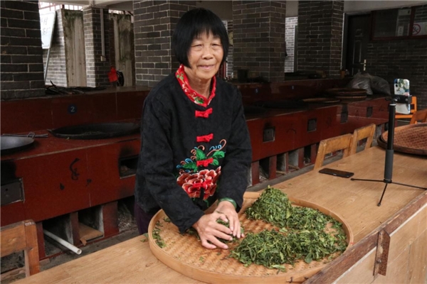 “制茶大师”韦洁群：择一事而终一生