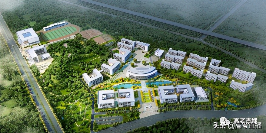 录取分很低？28所新大学今年秋季开始招生！（本专科都有）