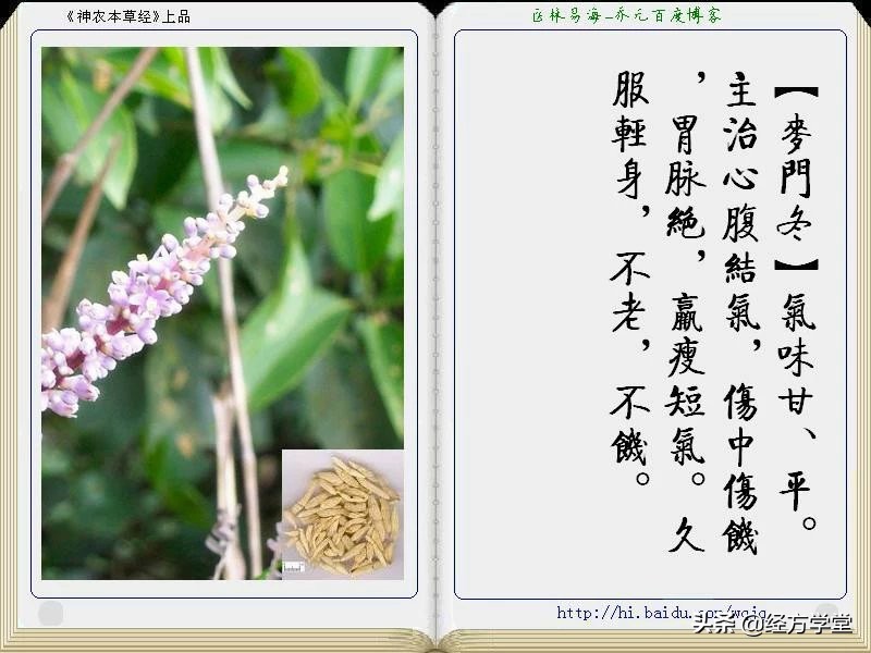 《神农本草经》全册图文解析 建议收藏