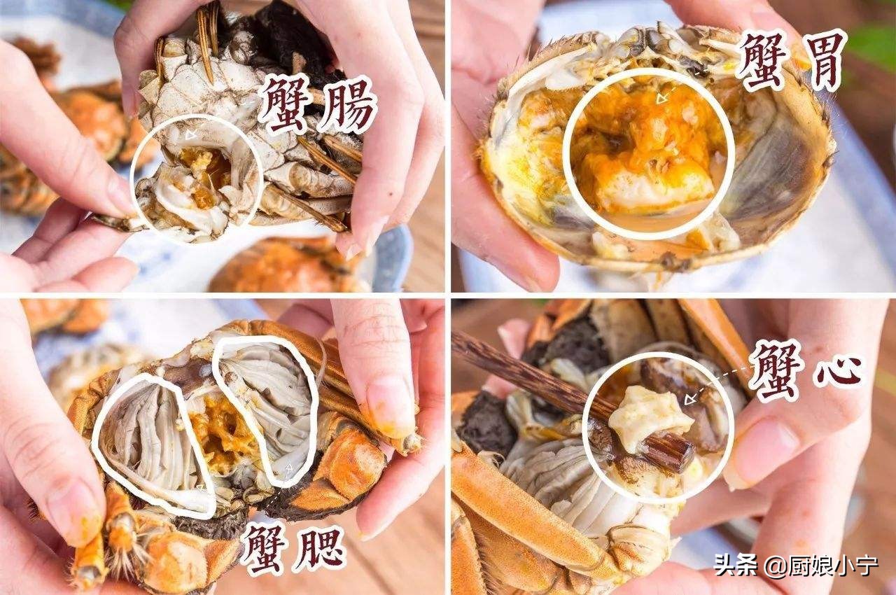 分享了大家挑螃蟹和吃螃蟹的方法,下面小宁分享大家吃螃蟹的注意事项