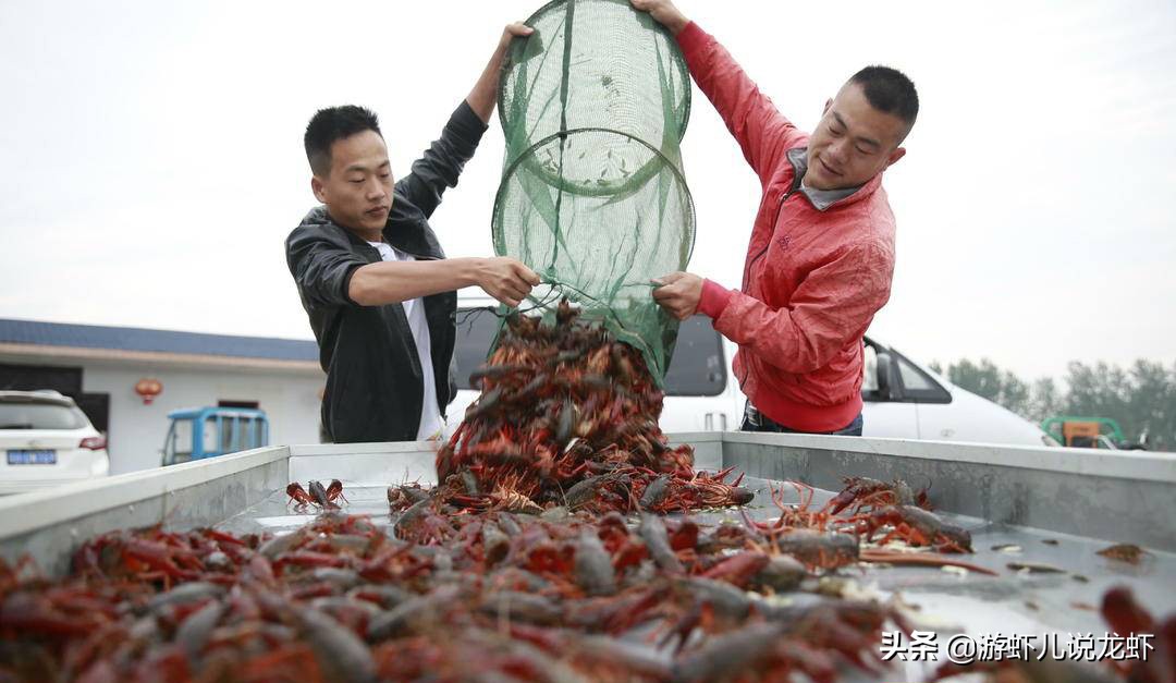 十大小龙虾产地之盱眙县：小龙虾节庆活动的领路者