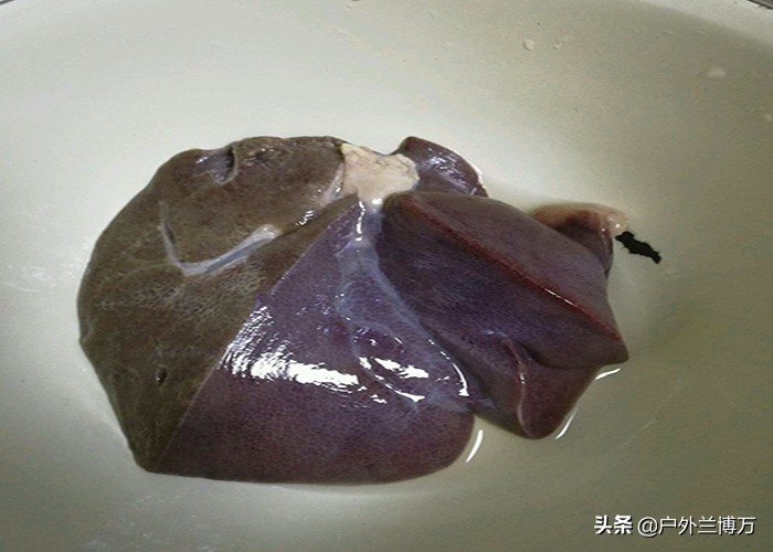 黑鱼(yu)喜欢吃什么诱饵容易上钩（黑(hei)鱼最喜欢的饵料）-悠嘻资讯网